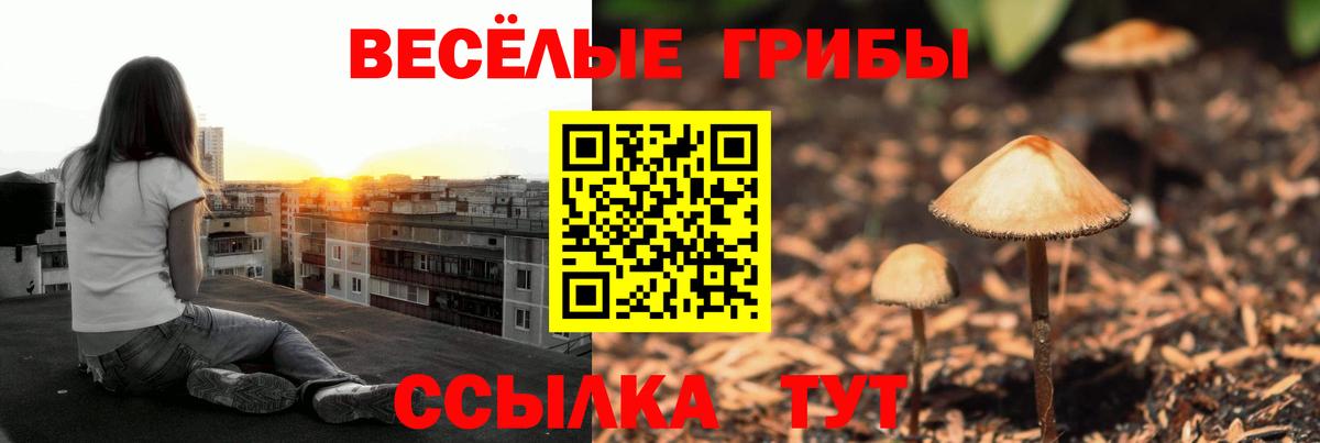 Псилоцибиновые грибы ЛСД  Вход с VPN  Новоуральск 